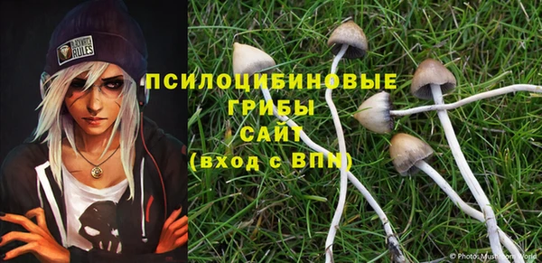mdpv Абдулино