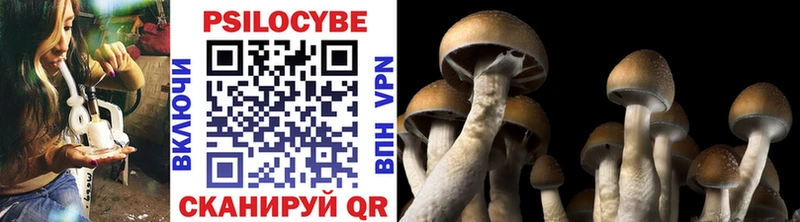 где купить наркоту Кисловодск МЕГА ONION Галлюциногенные грибы Magic Shrooms