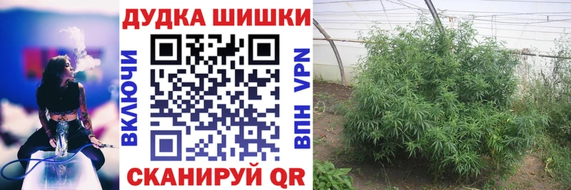 даркнет сайт Кисловодск Бошки марихуана Bruce Banner